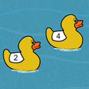 Duck Race 1000 Preview